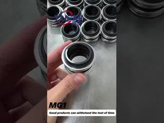 Borgmann G60 Waterpomp Mechanische afdichting Standaard vervangingsmaat MG1-12mm-100mm