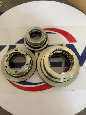 Black-mer Industrieel waterpomp Geladen rioleringspomp Mechanisch afdichting