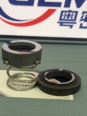 Walrus TPH 2t 4t 8t 12t 25t 50t pomp Mechanische afdichtingen voor Walrus Tph-pompen