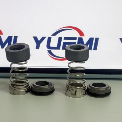 CH 2-20/30 12 mm voor Grundfos Pump Aqqe Pump Cr mechanisch afdichting